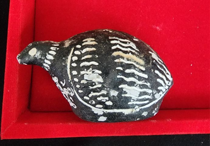 นกคุ้มกันไฟ ตัวผู้ตัวเมียมีกริ่ง เก่ามาก ๆ  รูปที่ 4