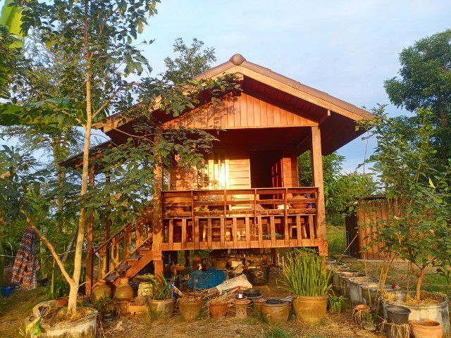 ขายบ้านสวน