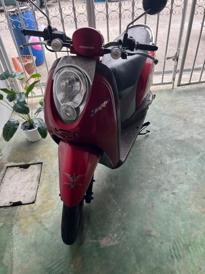 Honda scoopy i