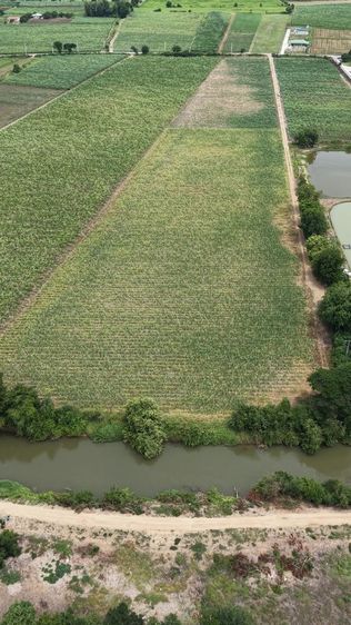 ไม่ใช่ ขายที่ดิน ติดคลองท่าสารบางปลา รูปที่ 2