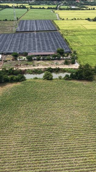 ไม่ใช่ ขายที่ดิน ติดคลองท่าสารบางปลา รูปที่ 3