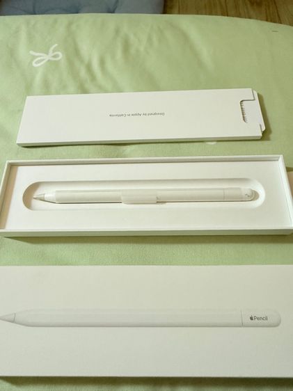 ปากกา Apple Pencil USB-C