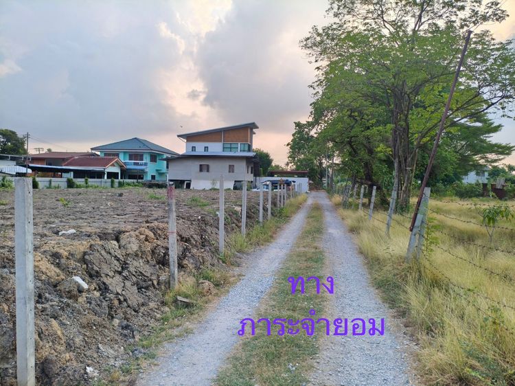 ขายที่ดินพร้อมสิ่งปลูกสร้าง บางคูเวียง ซอยวัดตะเคียน  รูปที่ 3