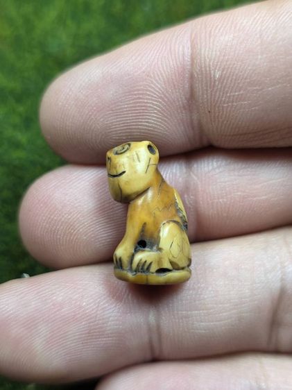 เสือหลวงพ่อปานเก่าๆ