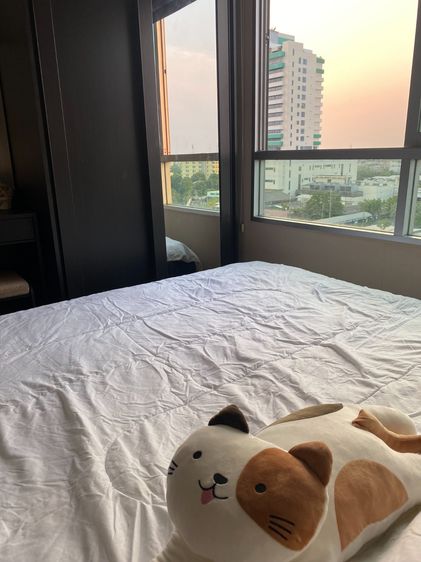 ไม่อนุญาต ตกแต่งครบ 2024  Condo for rent By Owner  PLUMCONDO NAWAMIN 86  FLOOR 8  ปล่อยเช่า พลัมคอนโด นวมินทร์ 86 รูปที่ 2