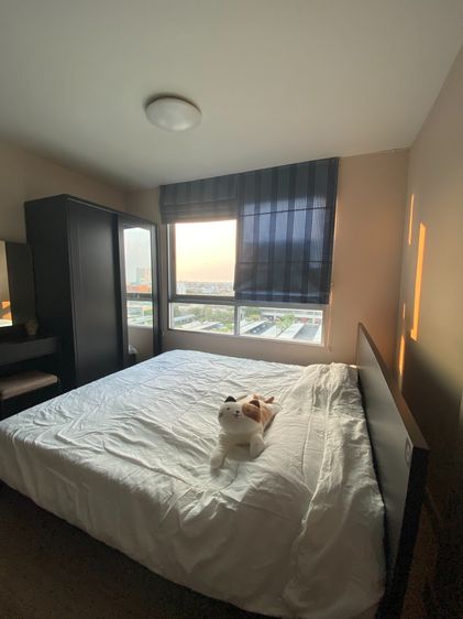  Condo for rent By Owner  PLUMCONDO NAWAMIN 86  FLOOR 8  ปล่อยเช่า พลัมคอนโด นวมินทร์ 86