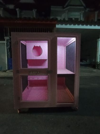 วิลล่าแมว รูปที่ 7