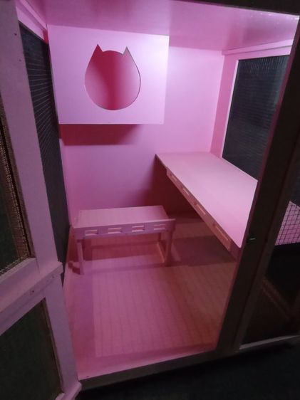 วิลล่าแมว รูปที่ 9