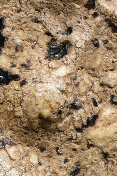 สมบัติบ้าน เนื้อขนมตุ๊บตั๊บ คราบรักหลุดร่อน พระสมเด็จวัดระฆัง พิมพ์เจดีย์เล็ก รูปที่ 2