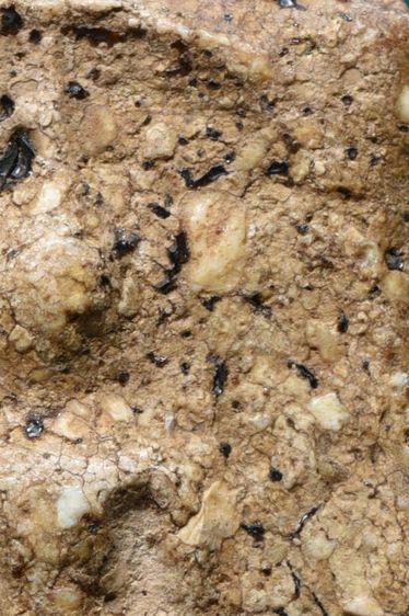 สมบัติบ้าน เนื้อขนมตุ๊บตั๊บ คราบรักหลุดร่อน พระสมเด็จวัดระฆัง พิมพ์เจดีย์เล็ก รูปที่ 13