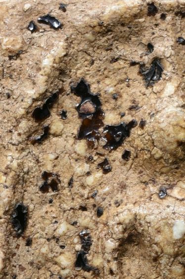 สมบัติบ้าน เนื้อขนมตุ๊บตั๊บ คราบรักหลุดร่อน พระสมเด็จวัดระฆัง พิมพ์เจดีย์เล็ก รูปที่ 11