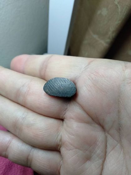 พระกริ่ง ภปร ปี 08 นิยม รูปที่ 3