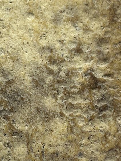 พระสมเด็จวัดระฆังพิมพ์ใหญ่ ส่งตามรูป (207) รูปที่ 9