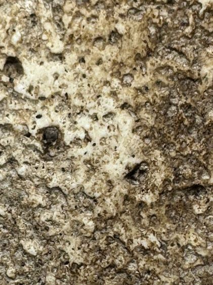 พระสมเด็จวัดระฆังพิมพ์เส้น ส่งตามรูป (209) รูปที่ 9