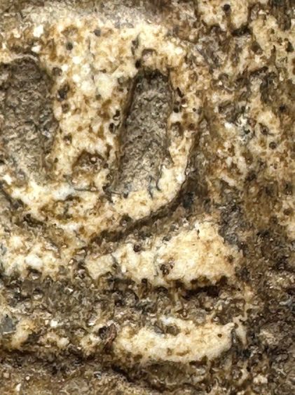 พระสมเด็จวัดระฆังพิมพ์เส้น ส่งตามรูป (209) รูปที่ 7