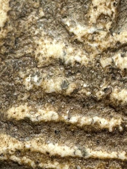 พระสมเด็จวัดระฆังพิมพ์เส้น ส่งตามรูป (209) รูปที่ 8