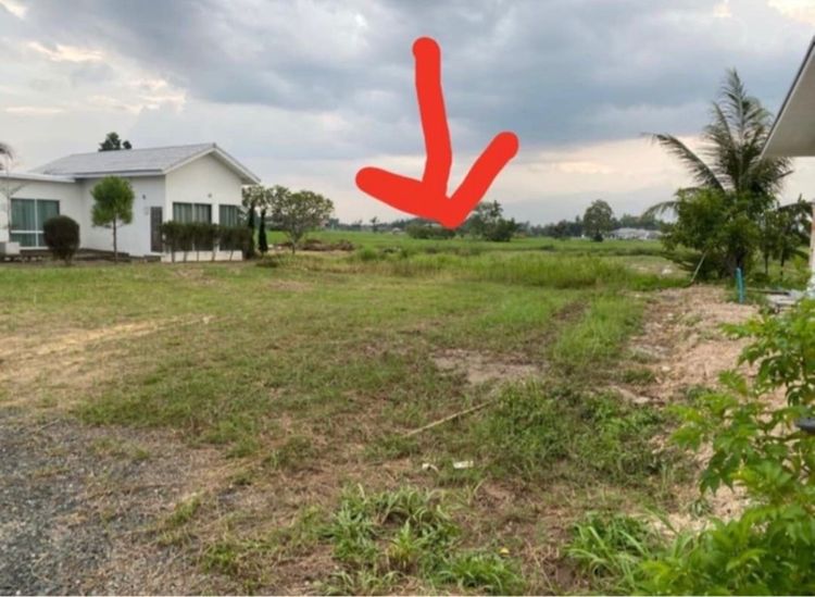 ไม่ใช่ ที่ดินเปล่า80ตรว. ห่างจากตัวเมืองเพียง12กิโล Land 80 sq.w. only 12 km from the city รูปที่ 2