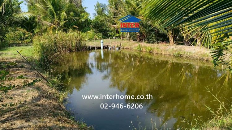 ที่ดินเปล่า 100 ตร.ว. ที่ดิน ใกล้โรงเรียนบ้านบางหอ ซอยโรงน้ำตาลเจ้จอย ถนนเพชรเกษม ถนนหมายเลข1004 เขาย้อย เพชรบุรี รูปที่ 3