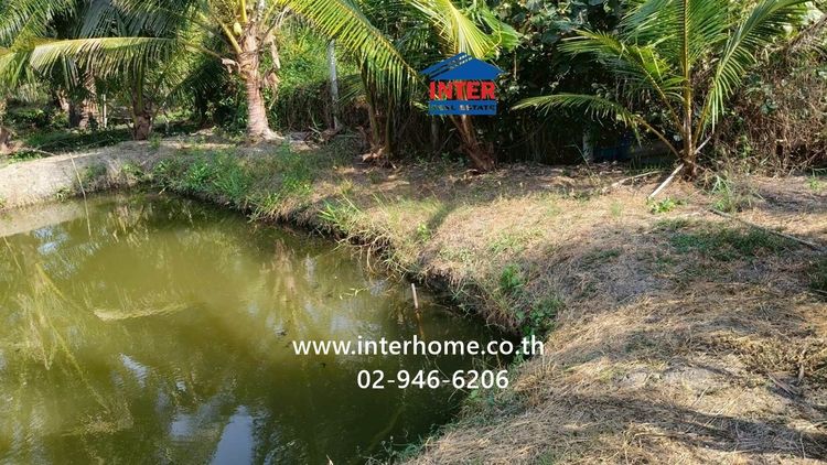 ที่ดินเปล่า 100 ตร.ว. ที่ดิน ใกล้โรงเรียนบ้านบางหอ ซอยโรงน้ำตาลเจ้จอย ถนนเพชรเกษม ถนนหมายเลข1004 เขาย้อย เพชรบุรี รูปที่ 4