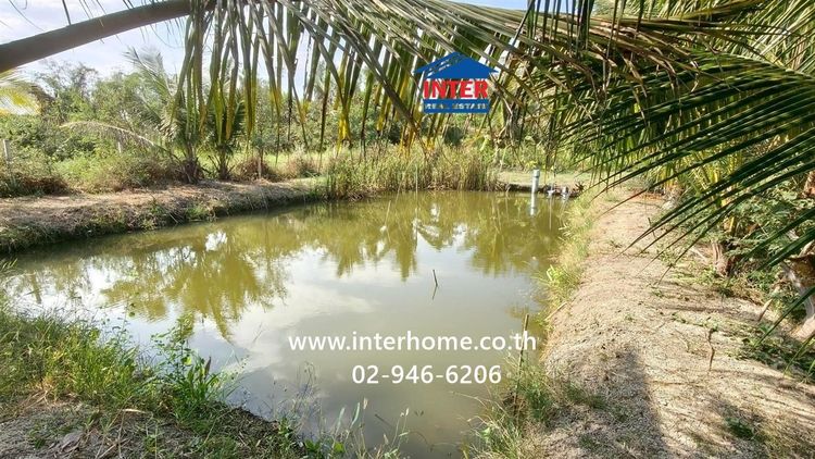 ที่ดินเปล่า 100 ตร.ว. ที่ดิน ใกล้โรงเรียนบ้านบางหอ ซอยโรงน้ำตาลเจ้จอย ถนนเพชรเกษม ถนนหมายเลข1004 เขาย้อย เพชรบุรี