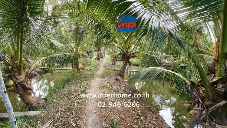 ที่ดิน + บ้าน 1 ชั้น 4 ไร่ 268 ตร.ว. ที่ดิน + บ้าน ใกล้วัดเขาตะเครา ซอยโรงน้ำตาลเจ้จอย ถนนเพชรเกษม ถนนหมายเลข1004 เขาย้อย เพชรบุรี รูปที่ 4