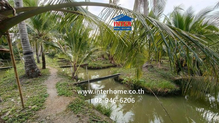 ที่ดิน + บ้าน 1 ชั้น 4 ไร่ 268 ตร.ว. ที่ดิน + บ้าน ใกล้วัดเขาตะเครา ซอยโรงน้ำตาลเจ้จอย ถนนเพชรเกษม ถนนหมายเลข1004 เขาย้อย เพชรบุรี รูปที่ 2