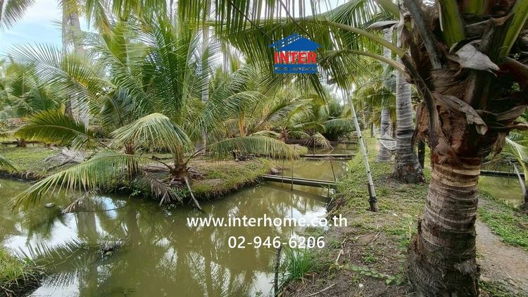 ที่ดิน + บ้าน 1 ชั้น 4 ไร่ 268 ตร.ว. ที่ดิน + บ้าน ใกล้วัดเขาตะเครา ซอยโรงน้ำตาลเจ้จอย ถนนเพชรเกษม ถนนหมายเลข1004 เขาย้อย เพชรบุรี รูปที่ 3