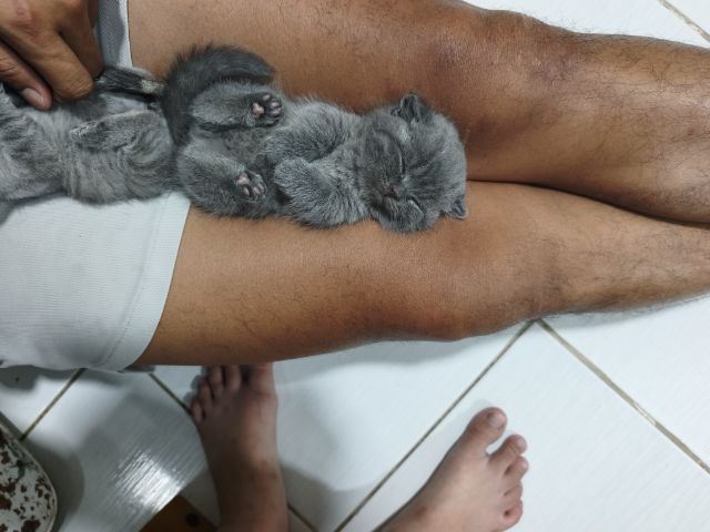 ขาสั้น บลู ญ😻😸 รูปที่ 4