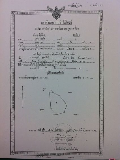 ขายทีดินพร้อมรีสอร์ท