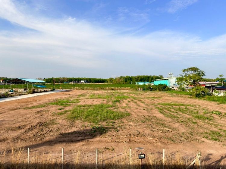 ขายที่ดินถนนหลังวัดมาบตาพุด (ซอยลุงอ๋อง ตรงข้ามตลาดนิวนอมอล) เมืองระยอง JAMJUREE BIZ PARK รูปที่ 4