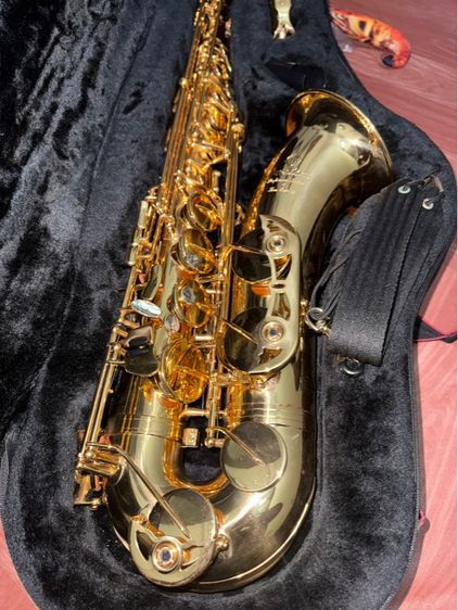 Saxophone tenor Overtone OST101