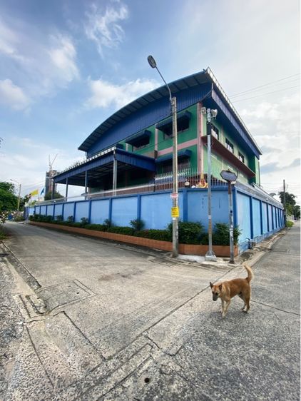 ตึกอาคารพานิช