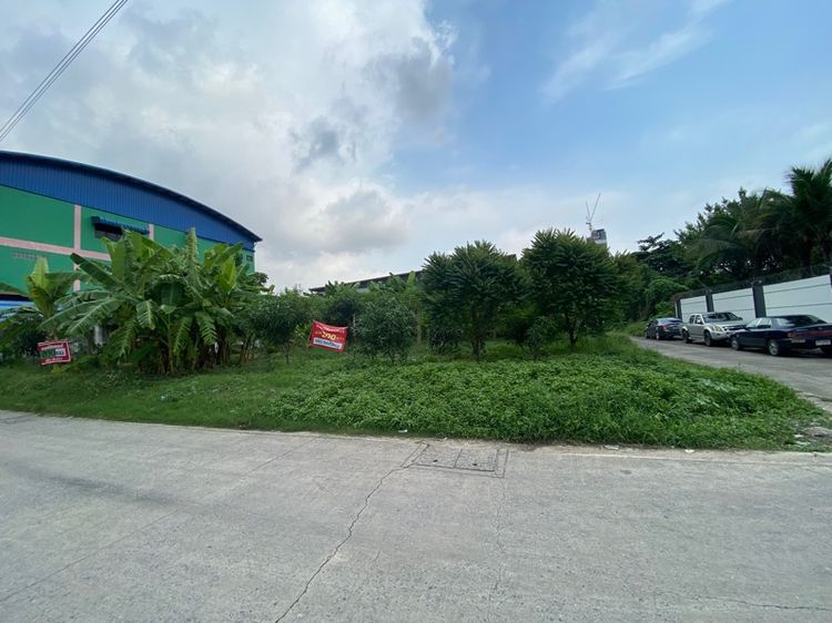 ที่ดินตินถนน