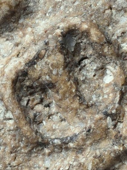 (สวยสุด) เนื้อตุ๊บตั๊บ หนึกนุ่ม มีมวลสารครบ ให้เช่าบูชา มรดกบ้าน  พระสมเด็จวัดระฆัง พิมพ์เจดีย์ พิมพ์สวยคม เก่า สมบูรณ์