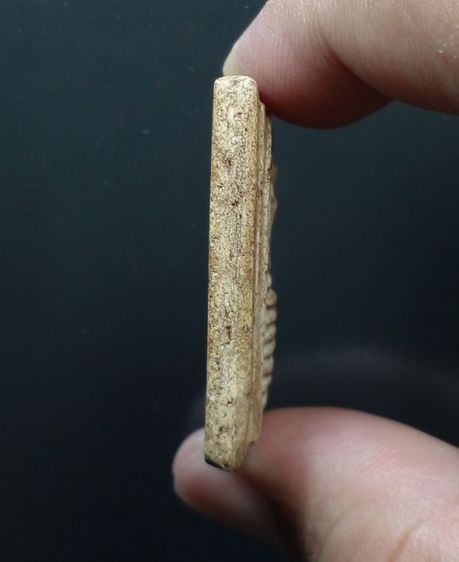 พระสมเด็จวัดเกศไชโย พิมพ์เจ็ดชั้น รูปที่ 3