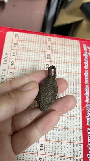 หมากทุยหลวงปู่เอี่ยม