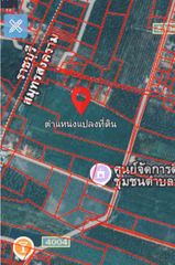 ขายที่ดิน2 แปลงในอัมพวา ทำเลสวย บรรยากาศดี
