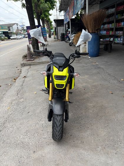 2017 HONDA MSX125SF