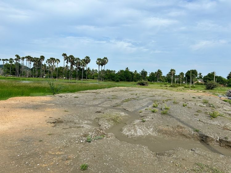 ที่ดินถมแล้ว เจ้าของขายเอง รูปที่ 2