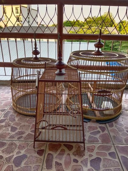 กรงนกมือ2