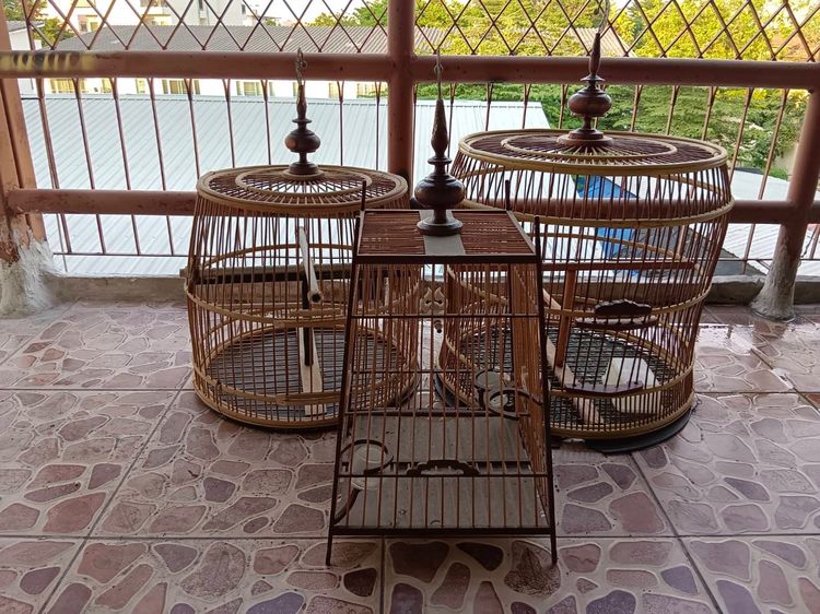 กรงนกมือ2 รูปที่ 3