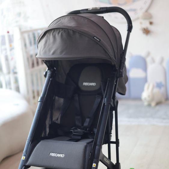  ขาย รถเข็นเด็ก Recaro Easylife รูปที่ 2