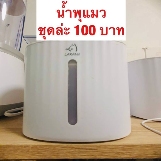 น้ำพุแมว