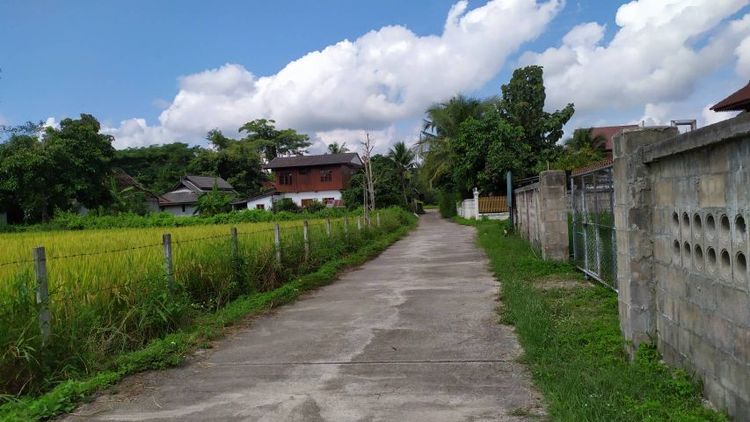 ไม่ใช่ ขายที่นาหลังที่ว่าการ อ.สันป่าตอง จ.เชียงใหม่ เหมาะทำบ้านพักตากอากาศ พูลวิลล่า รูปที่ 4