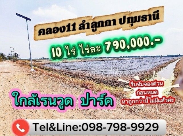 ที่ดินคลอง11 ลำลูกกา 10 ไร่หน้ากว้าง 40 เมตร(ใกล้เรนวูด ปาร์ค)