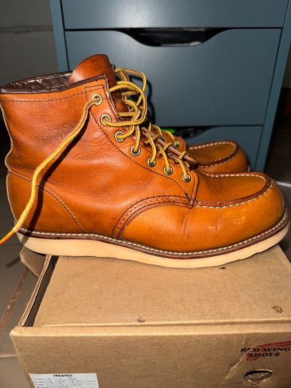 Redwing 875 รูปที่ 6