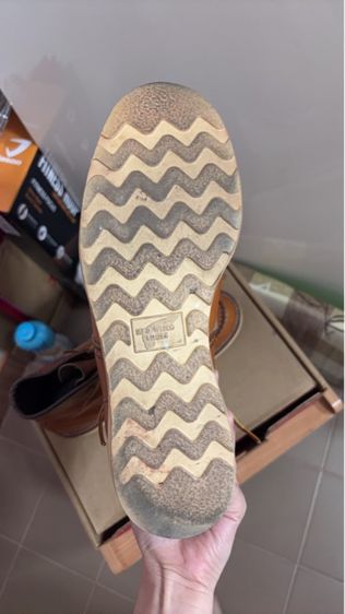 Redwing 875 รูปที่ 4