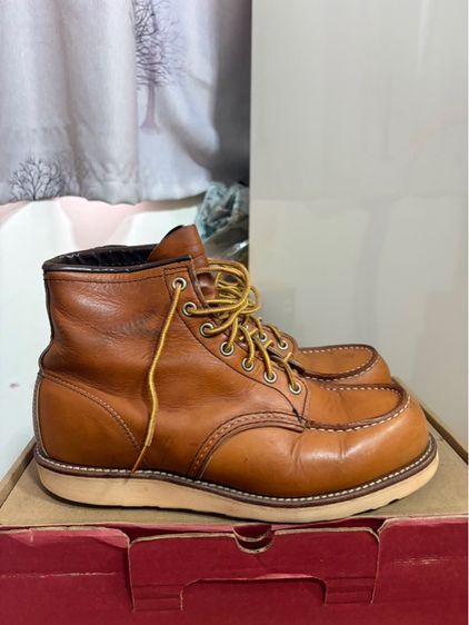 Redwing 875 รูปที่ 2