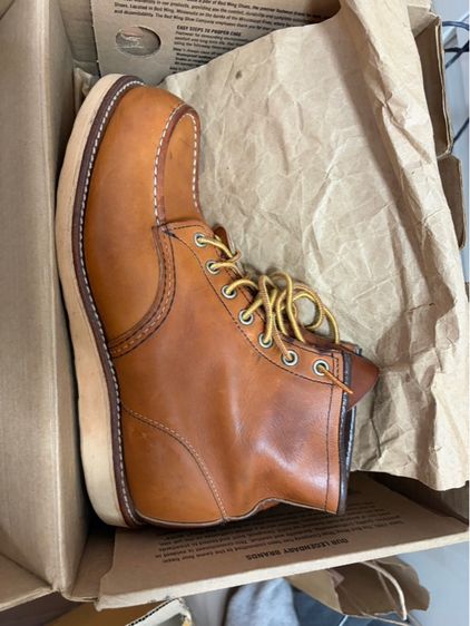Redwing 875 รูปที่ 3