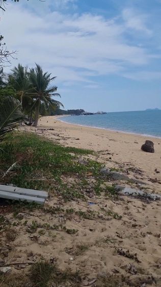 ขายที่ดินติดทะเลเกาะสมุย รูปที่ 3